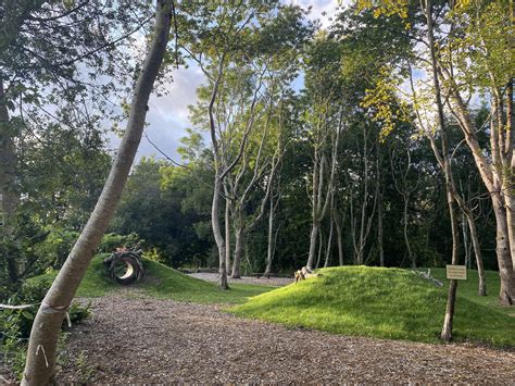 For younger visitors - Enys