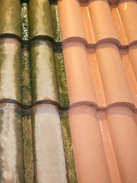 #1 Roof Cleaning In Greenville SC - Matt The Driveway Guy