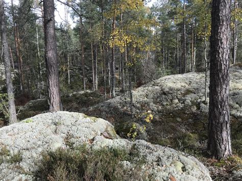 Kommuner tjänar på värdefull natur – Kalmar länsförbund