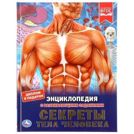 Книга УМка Секреты тела человека 293364 купить по цене 307 ₽ в интернет ...