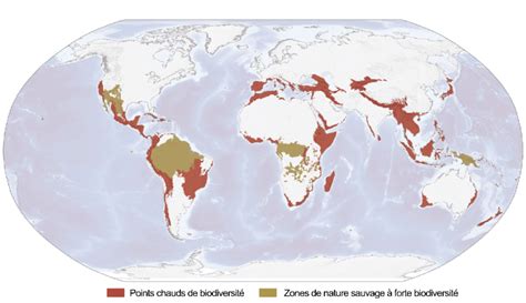 R Partition Mondiale Des Points Chauds De Biodiversit Et Zones De