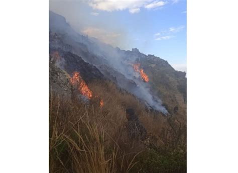 Incendio Forestal Arrasa Con Más De 200 Hectáreas De Pastos Naturales