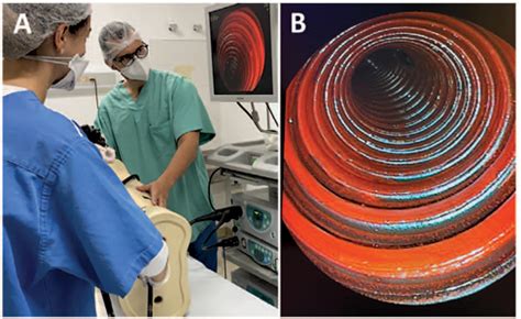 Scielo Brasil Low Cost Colonoscopic Simulator And Colonoscope To