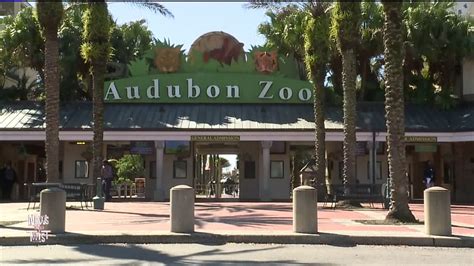 Movies filmed at Audubon Zoo