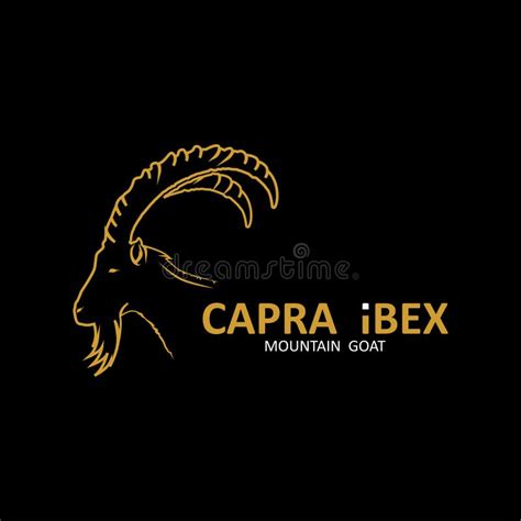 Capra Ibex Logo Vector Icon Illustration Design Template Stock Vector ...