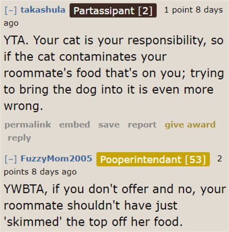 Reddit Debates On Should The Cat Owner Pay The Roommate Back For The