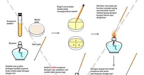 Teknik Isolasi Bakteri Homecare24