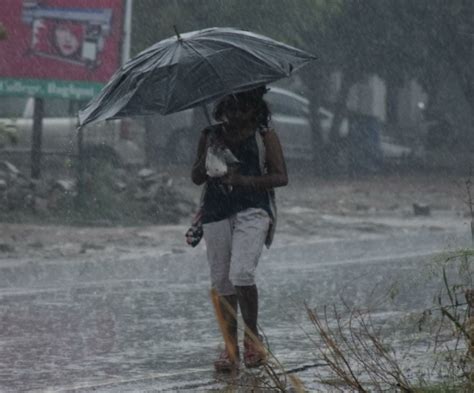 Meerut Weather Update वेस्‍ट यूपी में सुबह से हो रही बारिश ने बदला मौसम का मिजाज धान की फसल को