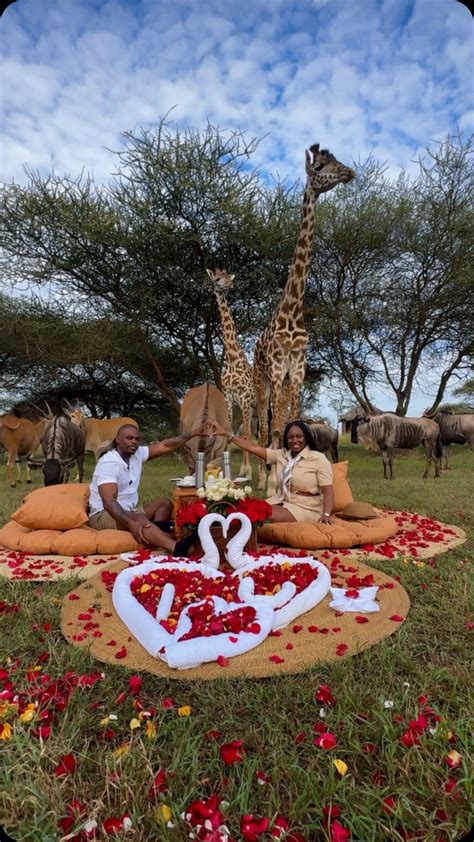 Serval Wildlife (@servalwildlife) • Instagram photos and videos