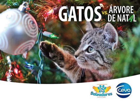 Arvore De Natal A Prova De Gatos - 10 dicas de como montar uma árvore de Natal à prova de gatos
