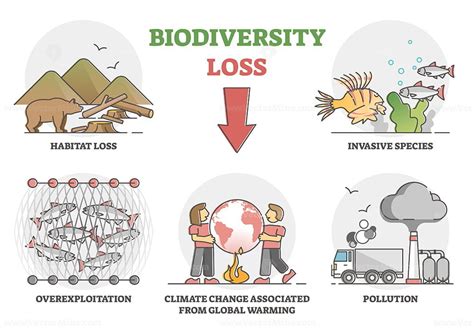 Biodiversity Loss Statistics Blanch Charmine