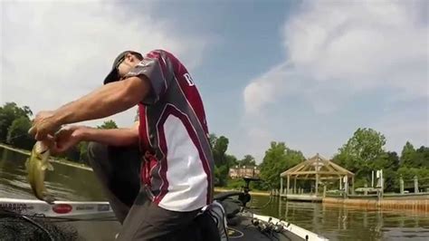 Bfl Bass Tournament On The Potomac River Youtube