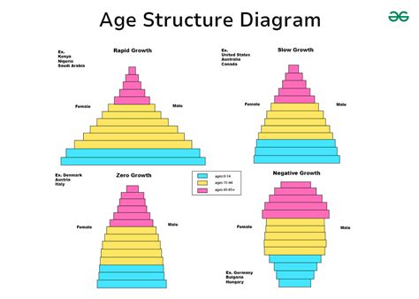 Life Tables And Survivorship Curves Age Sex Structure Overview