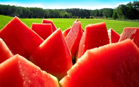 Watermelon Slices Wallpaper Photography Wallpapers 20325