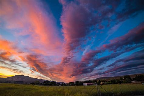 Blue Skies · Free Stock Photo