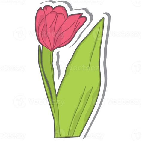 Aesthetic Cute Sticker Red Tulip Flowers Bullet Journal Png