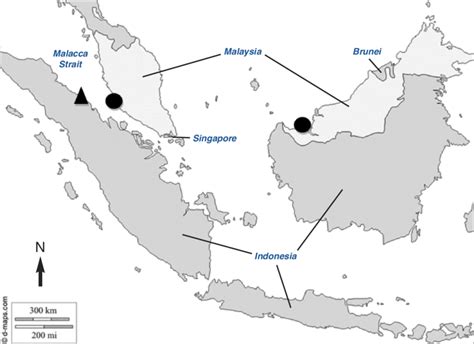 Map Of The Malay Archipelago Peninsular Malaysia Sumatra And Borneo