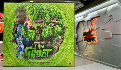 現貨 全新未開封 Hottoys Hot Toys TMS TMS I am Groot Groot Deluxe Version 榭人 聖誕禮物 興趣及遊戲 玩具