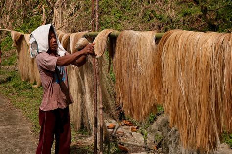 What Is Banana Fibre And How Do You Make Textiles From It