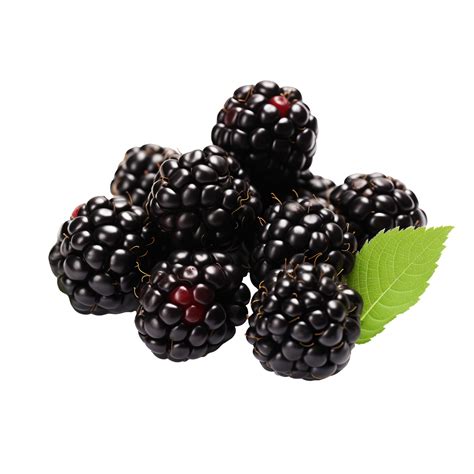 AI generated Blackberries isolated on a transparent background