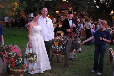 Donkey Wedding Google Search In Miniature Donkey Miniatures