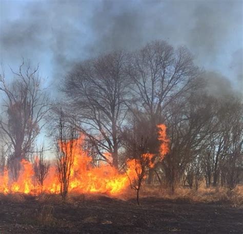 Van 19 Incendios Forestales En Durango