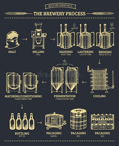 Vector El Infographics De La Cerveza Con Los Ejemplos Del Proceso De La