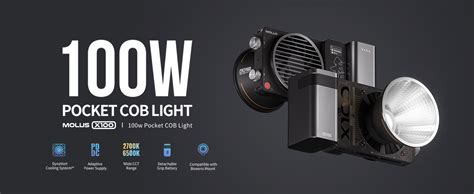 ZHIYUN MOLUS X100 Pro [Official] 100W COB LED Video Light Bi-Color ...