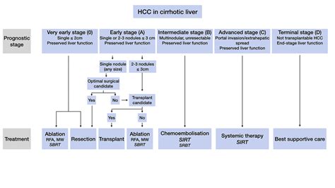 Modified Barcelona Clinic Liver Cancer Bclc Staging System Preserved Download Scientific