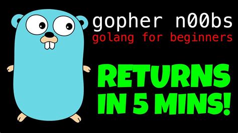 GOLANG MULTIPLE RETURN VALUES IN 5 MINS Go Tutorial For Beginners