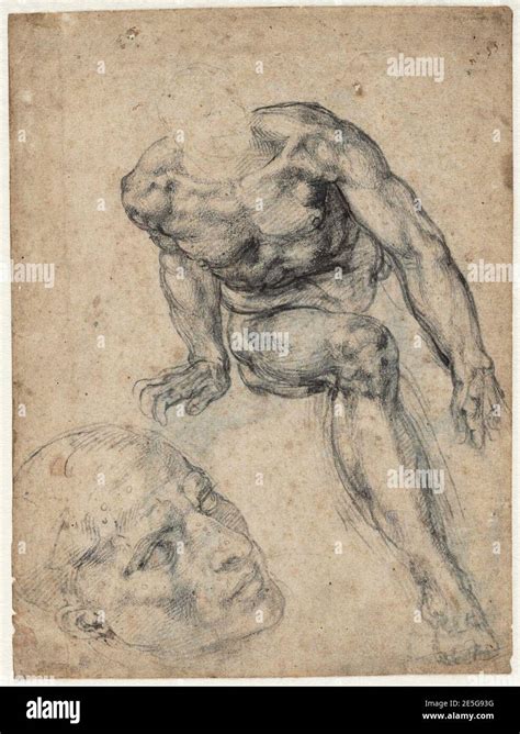 Michelangelo Study Of A Seated Male Nude And Of A Head For The Sistine Chapel A Recto