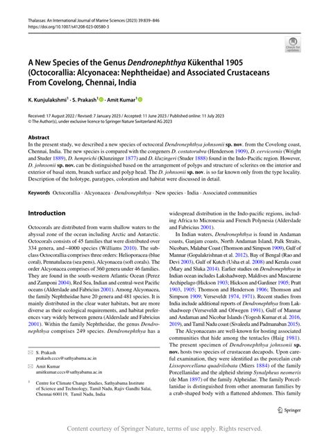 A New Species of the Genus Dendronephthya Kükenthal 1905 (Octocorallia: Alcyonacea: Nephtheidae ...