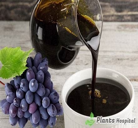 Grape Molasses: Health Benefits, Uses, Nutrition Facts And Warnings