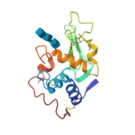 Rcsb Pdb Hew Refinement Of An Enzyme Complex With Inhibitor Bound