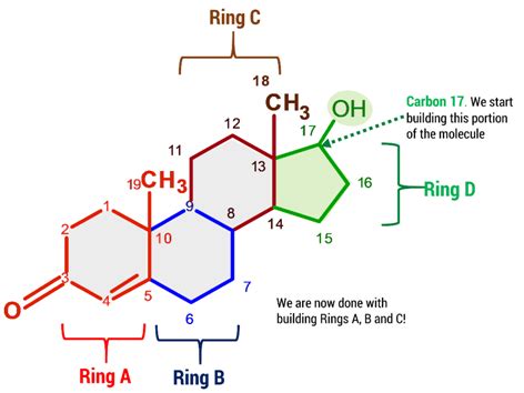 Testosterone – Duluth Labs