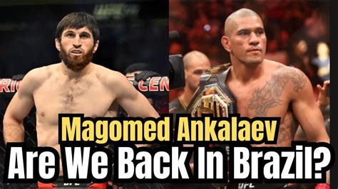 Magomed Ankalaev Vows To Ko Alex Pereira Epic Ufc Showdown Youtube