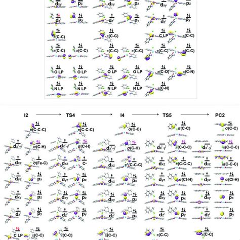 Schematic Frontier Orbital Diagrams For The Catalytic Reaction Mediated