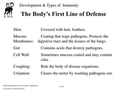 Ppt The Bodys First Line Of Defense Powerpoint Presentation Free