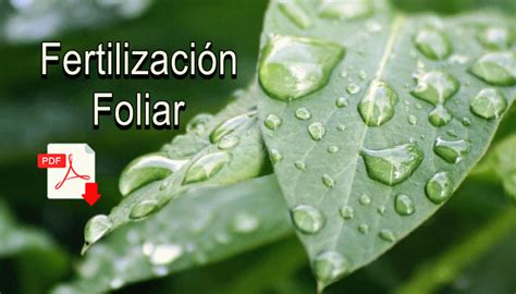 Manual De Fertilizaci N Foliar Libro En Pdf Infoagronomo