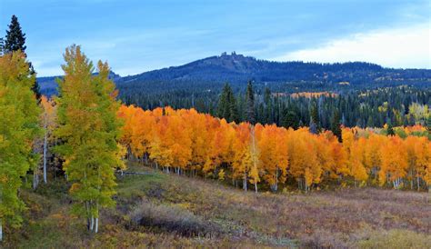 Rabbit Ears pass in the fall. Steamboat Springs, CO. | Steamboat ...