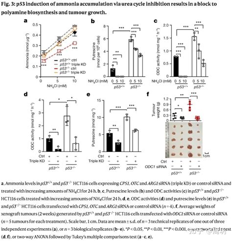 Natureif40肿瘤代谢重编程——p53调控肿瘤细胞尿素循环的机制 知乎