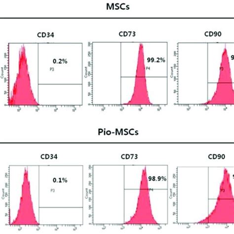 Comparison Of The Morphology And Cell Surface Marker Profile Between