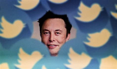 Elon Musk Está Considerando Vender Los Datos De Los Usuarios De Twitter