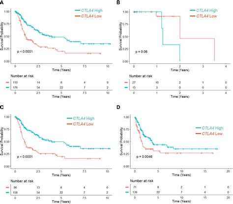 Frontiers Ctla Mrna Is Downregulated By Mir In Regulatory T