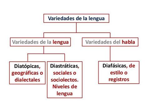 Diversidad Linguistica Mapa Conceptual Bankfeal The Best Porn Website