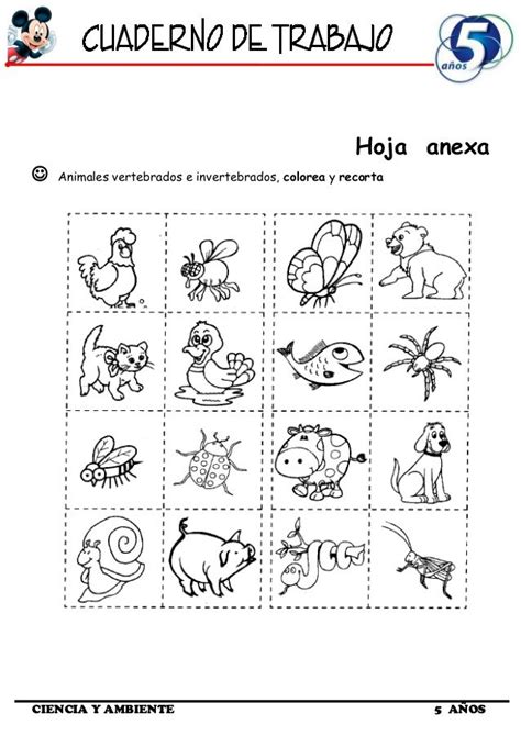 Cuaderno de trabajo ii 5 años ciencia y ambiente Artofit