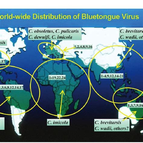 The Worldwide Distribution Of Bluetongue Virus Btv Serotypes And The