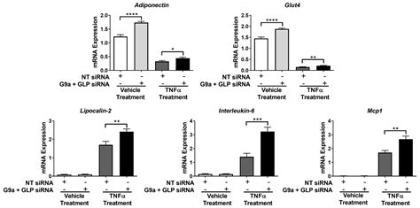 Biology Free Full Text Tnfα Effects On Adipocytes Are Influenced By The Presence Of Lysine