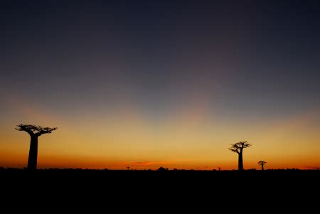 Madagascar Il Clima Informazioni Utili Un Paradiso Chiamato