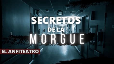 Relato Forense SECRETOS De La MORGUE EL ANFITEATRO Historias De